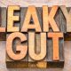 ayurvedica solution to leaky gut