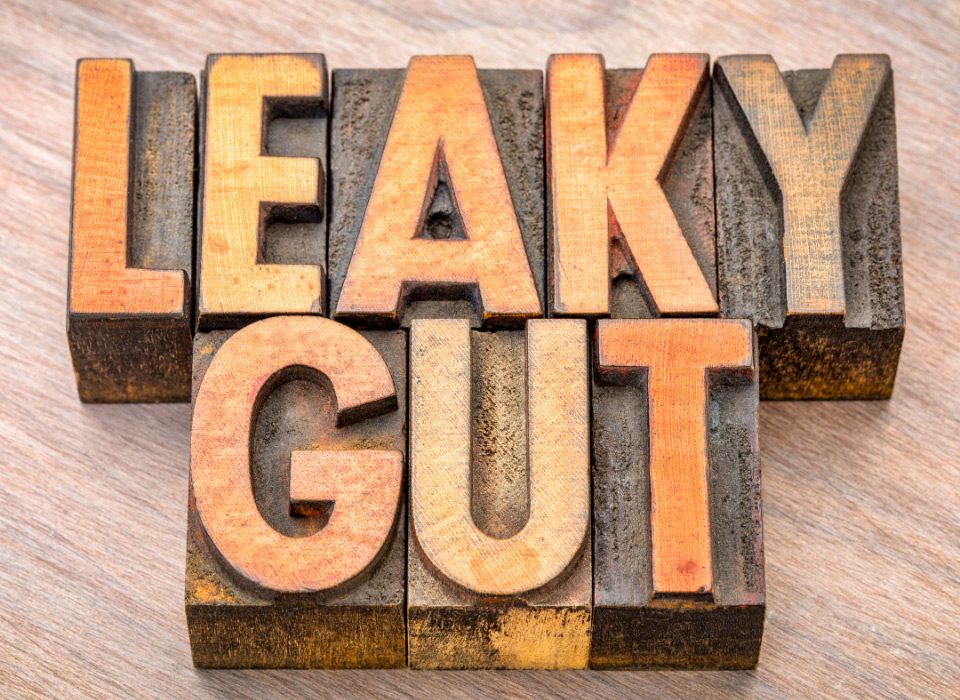 ayurvedica solution to leaky gut